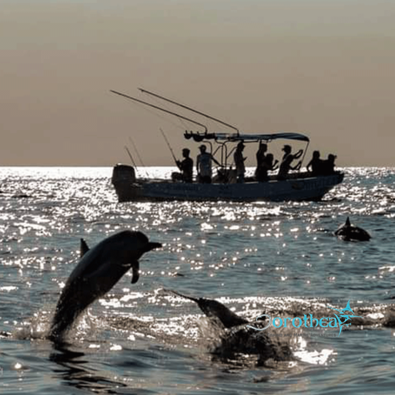 Dorothea-dolphin-boat-tour-Puerto-escondido